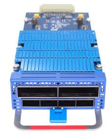2*100G QSFP28 to 200G CFP2 TMUX Card FW842